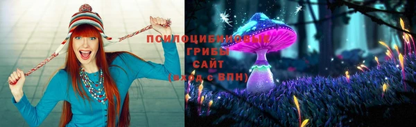 гидропоника Волосово
